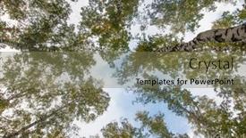  Presentation with clouds - Slide set featuring green-trees-and-clouds background and a violet colored foreground
