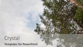  Presentation with clouds - Presentation theme consisting of green-trees-and-clouds background and a light gray colored foreground