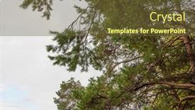  Presentation with clouds - Presentation design consisting of green-trees-and-clouds background and a tawny brown colored foreground