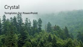  Presentation with pine trees - Beautiful slides featuring green trees in a forest backdrop and a sky blue colored foreground