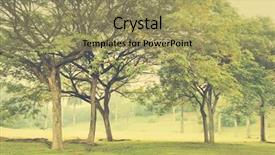  Presentation with green morning - Slide deck featuring green trees in park a morning view in vintage toned background and a coral colored foreground