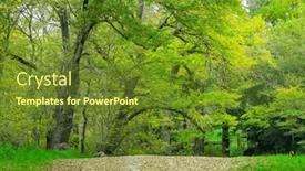  Presentation with green hills - Presentation theme consisting of green-trees-in-the-adelaide background and a tawny brown colored foreground