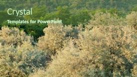  Presentation with crown - Slide set enhanced with green-trees-in-the-forest background and a tawny brown colored foreground