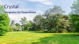  Presentation with tree sky trees green - Colorful slide set enhanced with green trees on grass meadow backdrop and a sky blue colored foreground