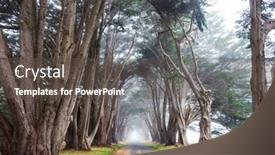  Presentation with tunnel - Amazing presentation theme having green-trees-tunnel-natural-background backdrop and a dark gray colored foreground