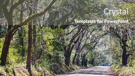  Presentation with tunnel - PPT theme consisting of green-trees-tunnel-natural-background background and a gray colored foreground