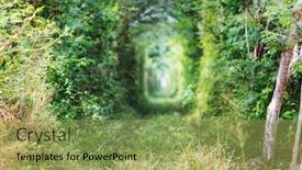  Presentation with tunnel - Cool new slide set with green-trees-tunnel-natural-background backdrop and a yellow colored foreground