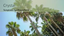  Presentation with green coconut - Cool new presentation theme with tropical coast against blue backdrop and a mint green colored foreground