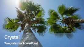  Presentation with coconut palm tree - Presentation theme having green tropical coconut palm trees background and a teal colored foreground