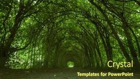  Presentation with green nature - Theme enhanced with green-tunnel-alley-under-arched and a tawny brown colored foreground