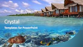  Presentation with water drop green planet - Audience pleasing presentation consisting of green turtle in the tropical backdrop and a teal colored foreground