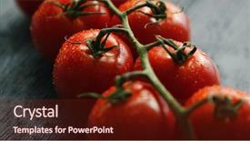  Presentation with water drops - PPT layouts having green twig with ripe grapevine background and a tawny brown colored foreground