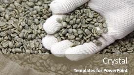  Presentation with green coffee beans - PPT layouts featuring green-unroasted-coffee-beans background and a violet colored foreground