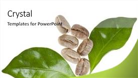  Presentation with green coffee - Slide set consisting of green unroasted coffee grains background and a white colored foreground
