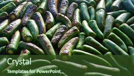  Presentation with jalapeno - Colorful slide deck enhanced with green vegatable - jalapeno chiles grilled in barbecue backdrop and a tawny brown colored foreground