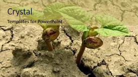  Presentation with kidney - Cool new PPT layouts with green vegatable - sprouts of kidney beans germinated backdrop and a yellow colored foreground