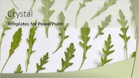  Presentation with healthy food - Presentation theme featuring green-vegetable-pattern-from-home background and a soft green colored foreground