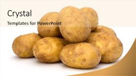  Presentation with ripe golden potato on white - Theme featuring green vegetables farm - potatoes isolated on white background background and a blonde colored foreground