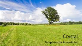 Presentation with plain - Colorful PPT layouts enhanced with green view - lonely tree plain nature backdrop and a gold colored foreground