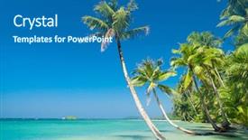  Presentation with relaxation - Theme enhanced with green view - relaxation in peace palm panorama background and a  colored foreground