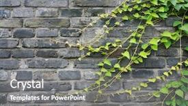  Presentation with brick wall - Theme featuring green vines on brick wall background and a gray colored foreground