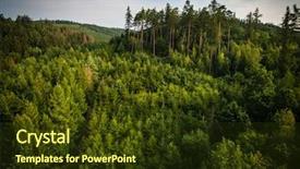  Presentation with forests - Amazing PPT layouts having green vt - aerial view of vast forests backdrop and a tawny brown colored foreground