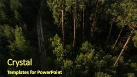  Presentation with forests - Cool new presentation theme with green vt - aerial view of vast forests backdrop and a wine colored foreground