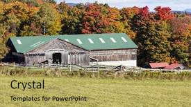  Presentation with barn wood autumn apples - Cool new presentation design with green vt - barn in countryside during autumn backdrop and a  colored foreground