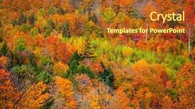  Presentation with fall foliage - Amazing slides having green vt - bright fall foliage in vermont backdrop and a tawny brown colored foreground