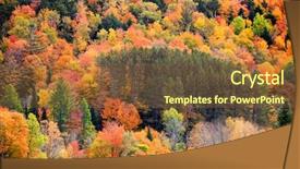  Presentation with tree sky trees green - PPT theme with green vt - canopy of autumn trees background and a tawny brown colored foreground