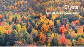  Presentation with rural - Theme featuring green vt - canopy of autumn trees background and a coral colored foreground