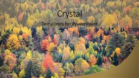  Presentation with tree sky trees green - Slide set featuring green vt - canopy of autumn trees background and a coral colored foreground