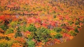  Presentation with england universuty - Colorful slide deck enhanced with green vt - scenic autumn landscape in new backdrop and a gold colored foreground