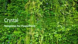  Presentation with green - Slide deck featuring green wall background and a forest green colored foreground