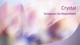  Presentation with flower border colorful made - Colorful slide deck enhanced with green watercolor background - beautiful flowers made with color backdrop and a lemonade colored foreground