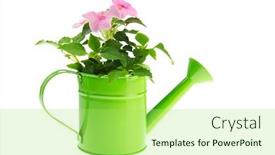  Presentation with pink green - PPT theme with green watering can with pink busy lizzy on white background background and a mint green colored foreground