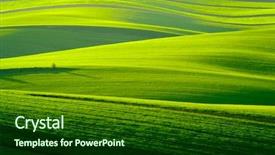  Presentation with green hills - PPT theme enhanced with green wavy hills in south background and a forest green colored foreground