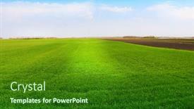  Presentation with wheat - Theme enhanced with green-wheat-field-against background and a forest green colored foreground