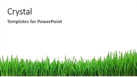  Presentation with white green - Presentation design enhanced with green wheat grass on white background and a white colored foreground