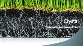  Presentation with plant roots - Presentation theme consisting of green wheat grass with roots background and a dark gray colored foreground