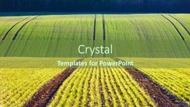  Presentation with green waves - Beautiful slide set featuring green-wheat-rows-and-waves backdrop and a tawny brown colored foreground