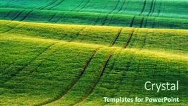  Presentation with green waves - Presentation design having green-wheat-rows-and-waves background and a forest green colored foreground