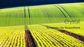  Presentation with green waves - Beautiful slide set featuring green-wheat-rows-and-waves backdrop and a yellow colored foreground