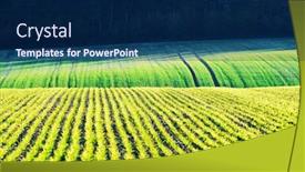  Presentation with green waves - Slide set having green-wheat-rows-and-waves background and a navy blue colored foreground