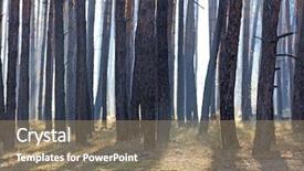  Presentation with green forest morning - Theme enhanced with green white black - morning mist in pine forest background and a coral colored foreground