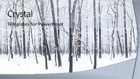  Presentation with white snow - Beautiful slides featuring green white black - winter forest with snow backdrop and a lemonade colored foreground