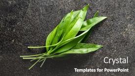  Presentation with green leaves - Slides featuring green-wild-garlic-leaves-ramsons background and a dark gray colored foreground