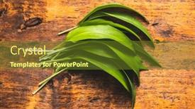  Presentation with green leaves - Amazing PPT theme having green-wild-garlic-leaves-ramsons backdrop and a tawny brown colored foreground
