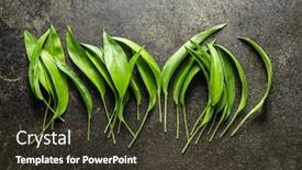  Presentation with garlic - Slide set consisting of green-wild-garlic-leaves-ramsons background and a tawny brown colored foreground