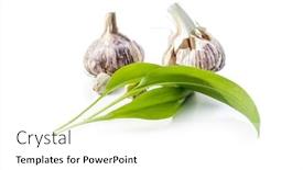  Presentation with garlic garlic garlic bulb - Cool new theme with green-wild-garlic-leaves backdrop and a white colored foreground